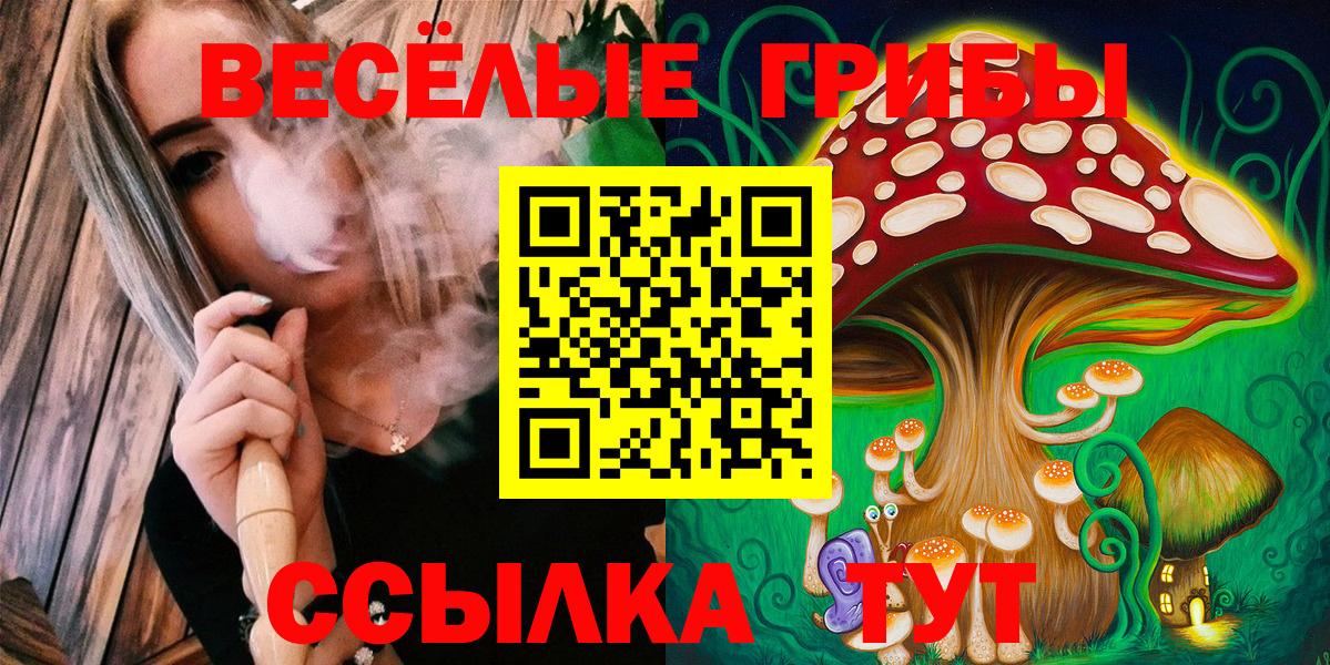 Топки  Псилоцибиновые грибы Cubensis  Галлюциногенные грибы Psilocybine cubensis  Вход с VPN 
