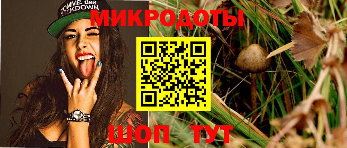 Псилоцибиновые грибы мицелий Топки