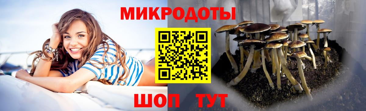 Галлюциногенные грибы GOLDEN TEACHER  Псилоцибиновые грибы мухоморы  Топки 