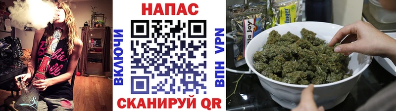 Каннабис сатива  blacksprut маркетплейс  Топки  как найти наркотики 